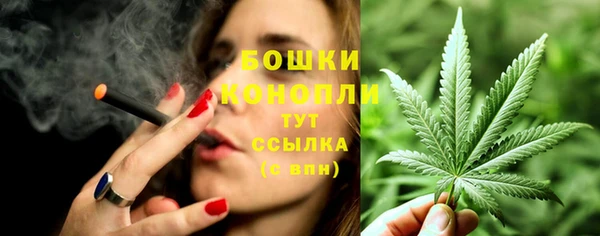 мдпв Горнозаводск