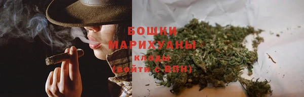 мдпв Горнозаводск