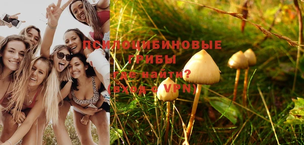 ALPHA-PVP Горняк