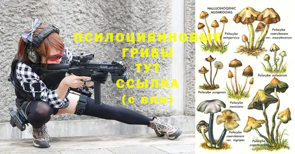 ALPHA-PVP Горняк