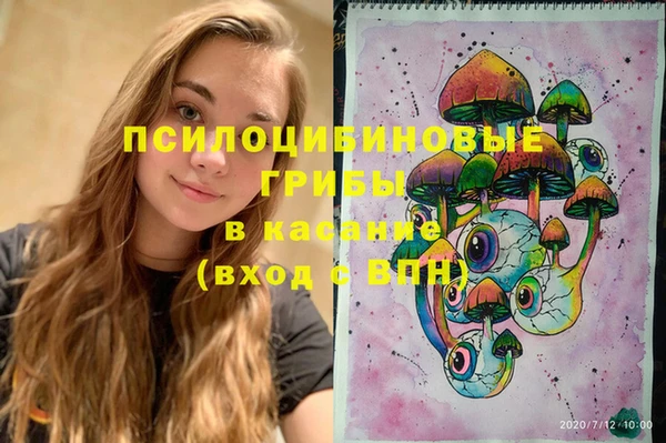 мдпв Горнозаводск