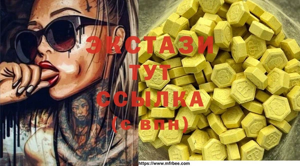 мдпв Горнозаводск