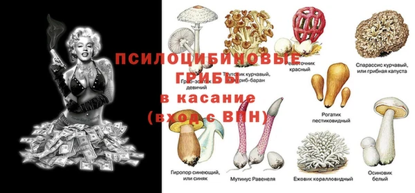 ALPHA-PVP Горняк